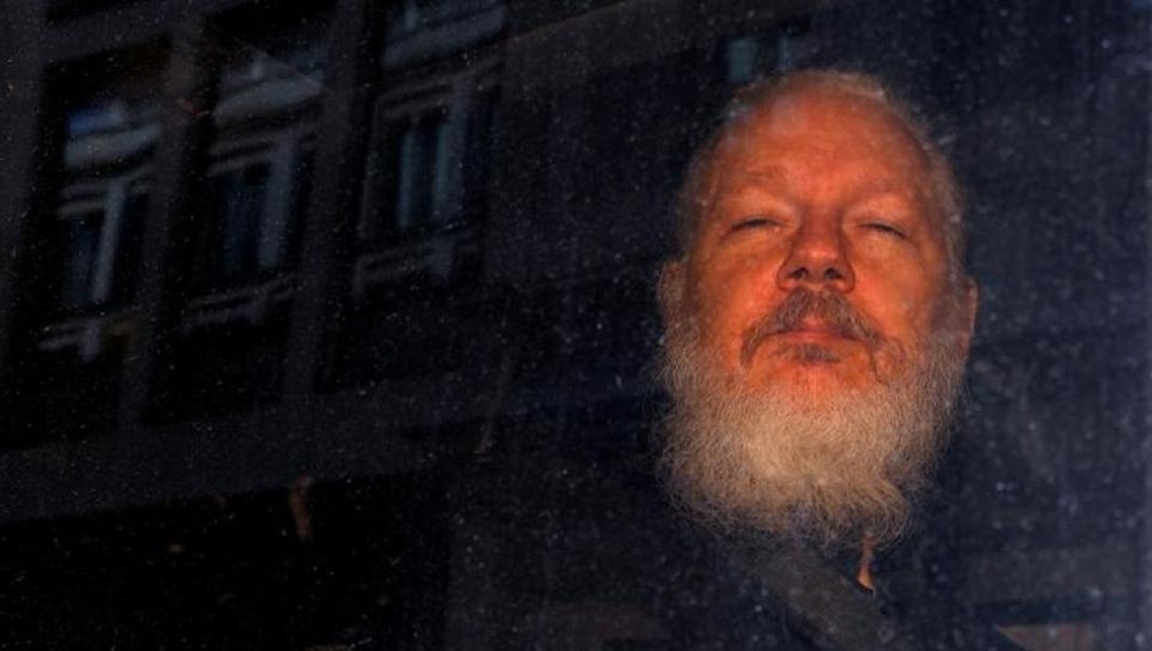 assange wikileaks
