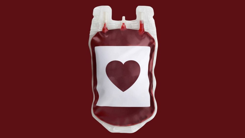 donazione sangue gay